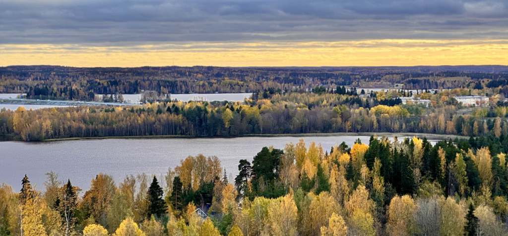 Mesh Pirkanmaa Header